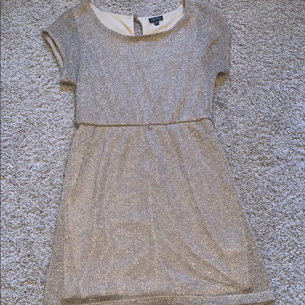 Sparkly Dress